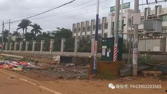 雷州英利最新爆料,揭秘项目进展与未来规划